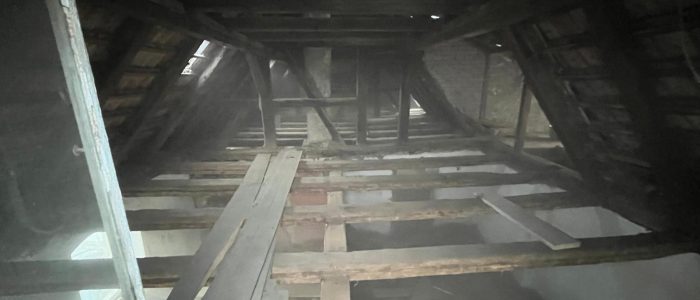 WhatsApp Bild 2025-08-18 um 19.29.37_d557c926